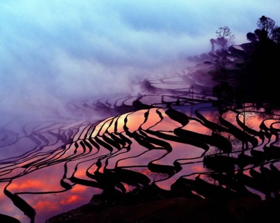 The Yuanyang Terraces,Yunan Province,China