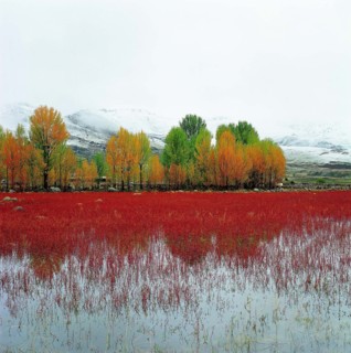 The landscape of Daocheng,Sichuan Province,China