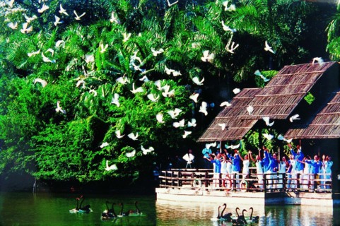 peace doves are being released flying by a group of children,Guangzhou,China