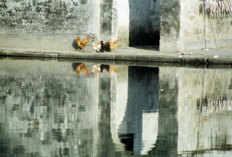 A pool of Xidi Village,Shexian County,Anhui Province,China