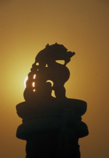 A lion statue of Forbidden City,Beijing,China