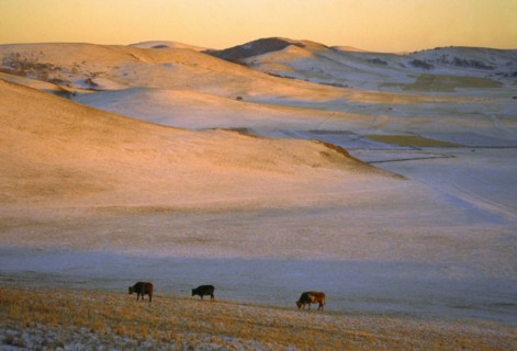 The landscape of Bashang,Hebei Province,China