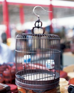 Cage à oiseaux