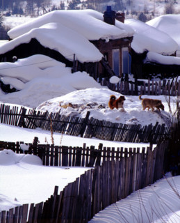 the snow-covered house at Shuangfeng Forestry Centre,Mudanjiang,Heilongjiang,China
