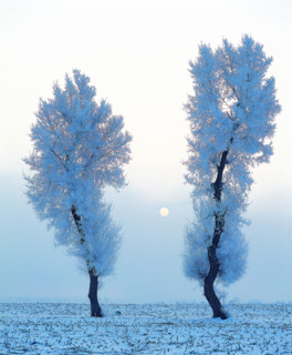 The spectacle of rime in Jinlin,China