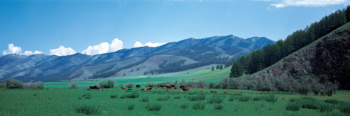 Kusuguer,Mongolia