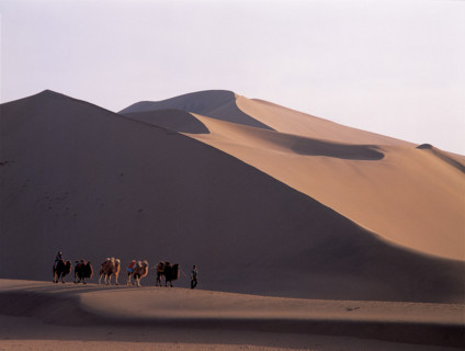 Caravan on Mingsha Hill,Gansu,China