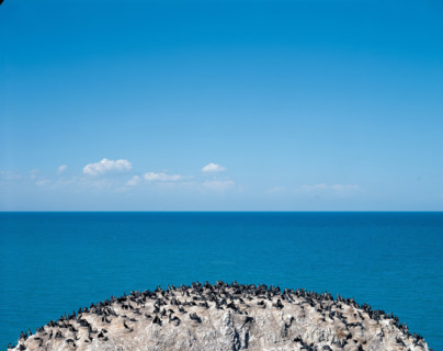 Birds Islet,Qinghai Lake,Qinghai,China
