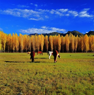 Qushui in Tibet,China