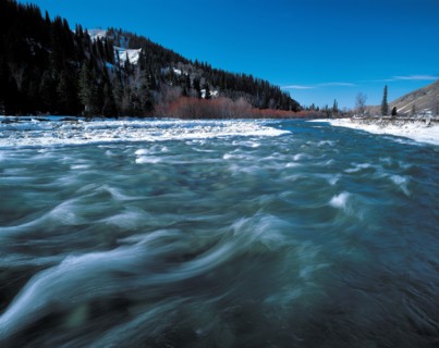 A stream on Nalati grassland of Xinjiang,China