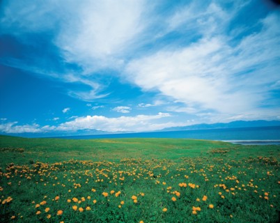 A grassland on the bank of Sayram Lake, Xinjiang,China