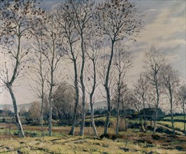 Vila Puig, Paysage d'hiver