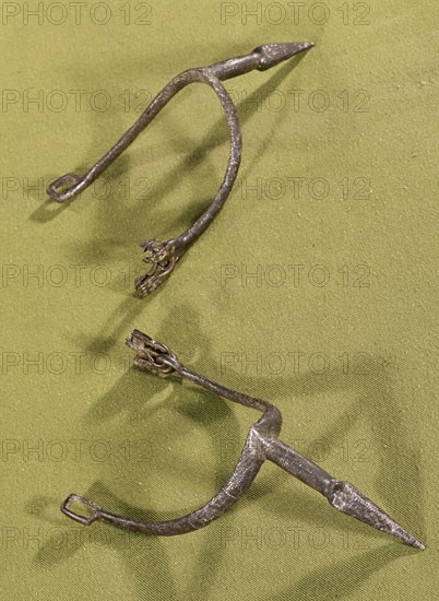 ESPUELAS - ACICATE
MADRID, ARMERIA REAL
MADRID

This image is not downloadable. Contact us for