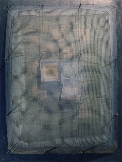 RIVERA HERNANDEZ MANUEL 1927-
CUADRO
MADRID, COLECCION PARTICULAR
MADRID

This image is not