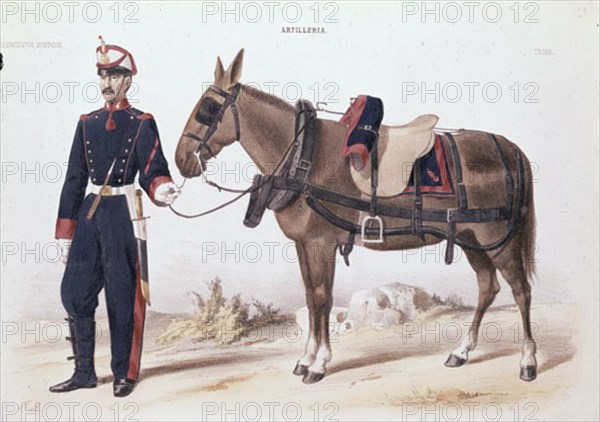 ARTILLERIA CONDUCTOS DE GALA
MADRID, ARCHIVO HISTORICO MILITAR
MADRID