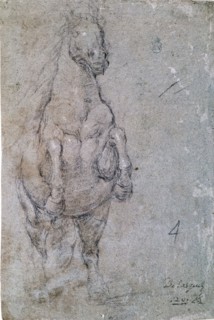 Vélasquez, Dessin d'un cheval de face