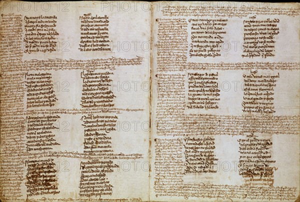 COTA RODRIGO DE
COPLAS DE MINGO REVULGO - MS 26-13 -
MADRID, BIBLIOTECA NACIONAL
MADRID

This
