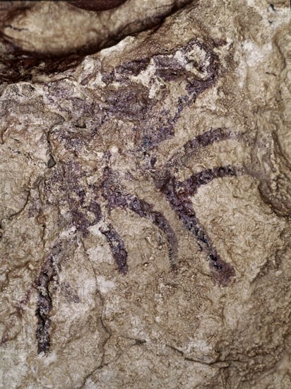 ABRIGO SALTADORA-P RUPESTRE-CABEZA CIERVO. EPIPALEOLITICO Y MESOLITICO 8000-1200 A.C.
PROVINCIA,