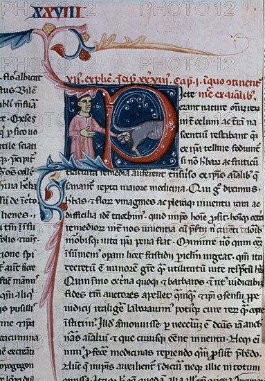 PLINIO EL VIEJO 23-79 DC
HISTORIA NATURAL-MS R.I.5-FOL 169.COPIA DEL S XV-LETRA CON FIGURA-HOMBRE