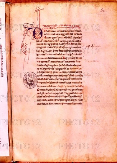 TEOFILO
MS L-III-18-INCIPIT LIBER URINARUM A VOCE THEOPHYLI.FOL 50
SAN LORENZO DEL ESCORIAL,