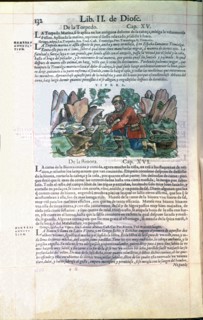 Dioscorides, Medicine book