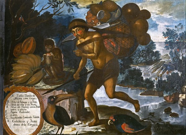 ALBAN VICENTE
INDIO CON FRUTOS - 1783- PINTURA COLONIAL S XVIII-ESCUELA QUITEÑA
MADRID, MUSEO DE