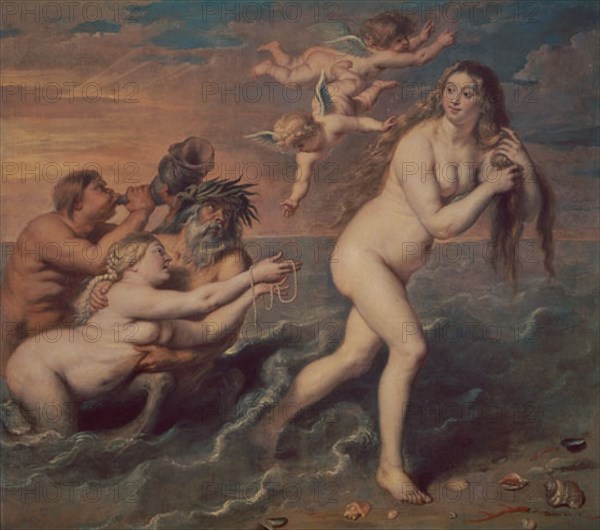 VOS PAUL DE 1596/1678
VENUS SALIENDO DE LA ESPUMA DEL MAR
MADRID, MUSEO DEL PRADO-PINTURA
MADRID