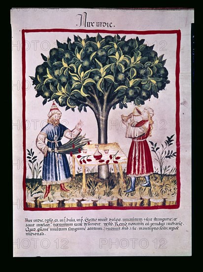 UBUBEHASYM BALDACH 1052/63
FACSIMIL DE THEATRUM SANITATIS-COD MEDICINA-NUEZ DE LA INDIA-PAREJA