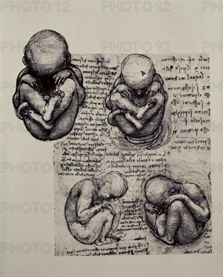 VINCI LEONARDO 1452/1519
FORMAS DEL FETO
PARIS, BIBLIOTECA NACIONAL
FRANCIA