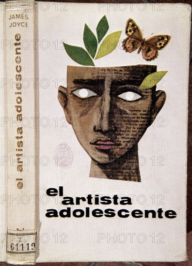 JOYCE JAMES 
LIBRO EL ARTISTA ADOLESCENTE
MADRID, BIBLIOTECA NACIONAL RAROS
MADRID

This image