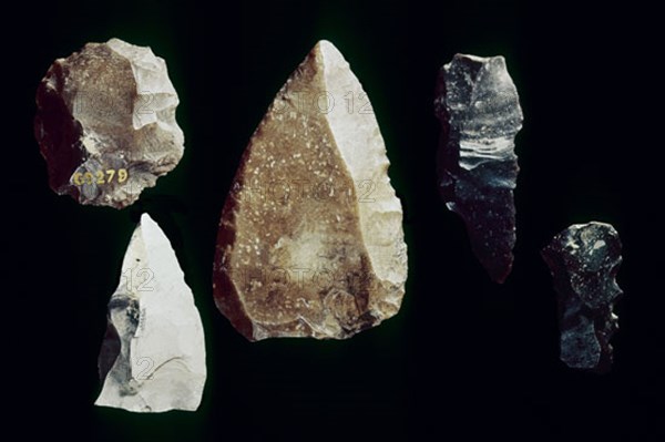 SILEX PREHISTORICAS DEL PALEOLITICO MEDIO

This image is not downloadable. Contact us for the