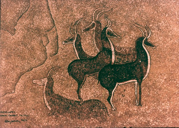 ABRIGO WADI TAMRIT-P RUPESTRE-ANTILOPES
TASSILI, ABRIGOS SAHARA
ARGELIA