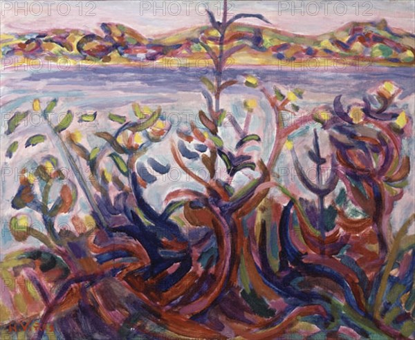 VIÑES HERNANDO 1904/1993
PINTURA
MADRID, COLECCION PARTICULAR
MADRID

This image is not