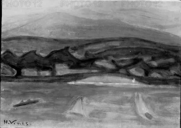 VIÑES HERNANDO 1904/1993
FOTOGRAFIA EN BLANCO Y NEGRO DE UN PAISAJE - S XX
MADRID, COLECCION