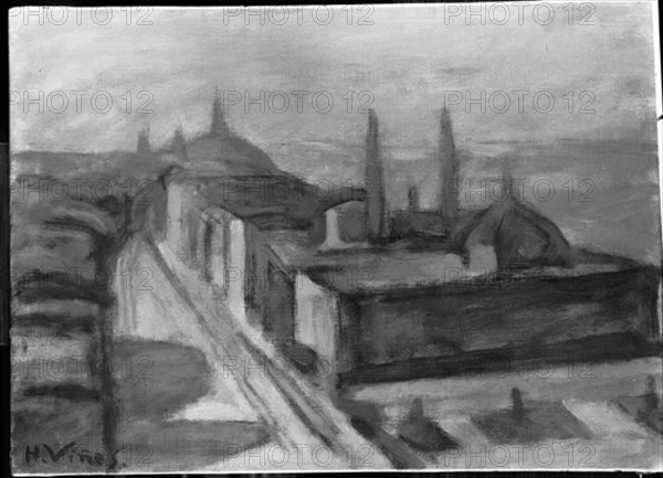 VIÑES HERNANDO 1904/1993
FOTOGRAFIA EN BLANCO Y NEGRO DE UN PAISAJE - S XX
MADRID, COLECCION
