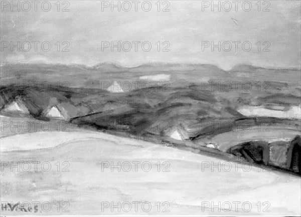VIÑES HERNANDO 1904/1993
FOTOGRAFIA EN BLANCO Y NEGRO DE UN PAISAJE - S XX
MADRID, COLECCION