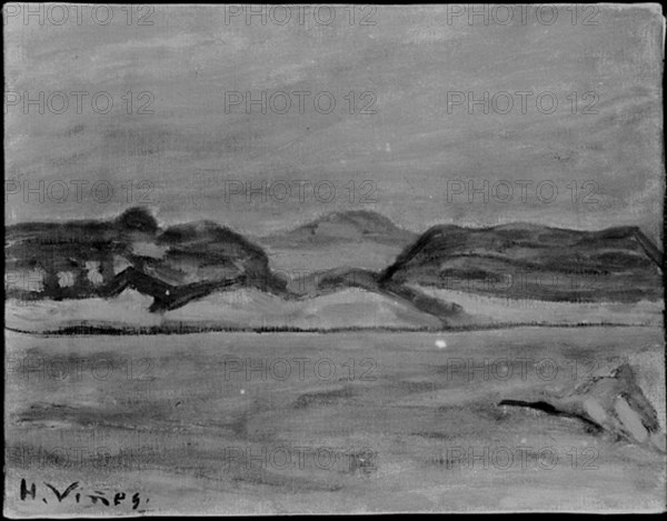 VIÑES HERNANDO 1904/1993
FOTOGRAFIA EN BLANCO Y NEGRO DE UN PAISAJE - S XX
MADRID, COLECCION
