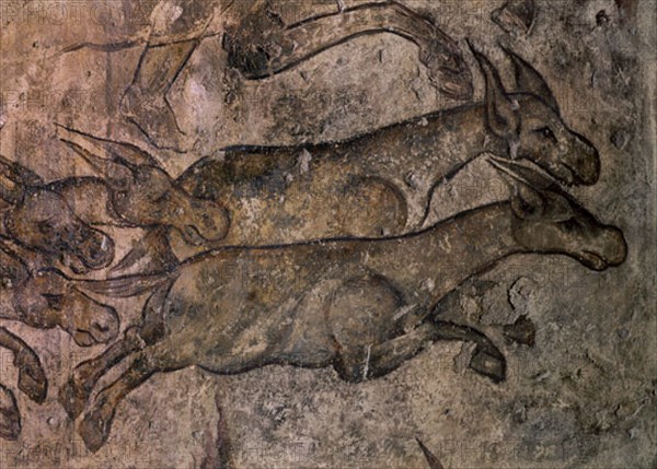 INTERIOR - PINTURA MURAL - DET DEL GRAN PANEL CON LA CACERIA DE ONAGROS - S VIII
QUSEIR AMRA,
