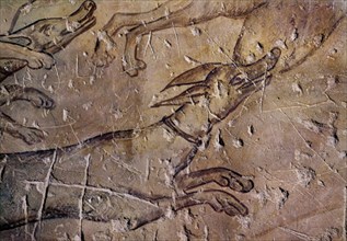 DETALLE DE LOS LEBRELES - LADO ORIENTAL DEL GRAN SALON - FRESCOS OMEYAS S VIII
QUSEIR AMRA,