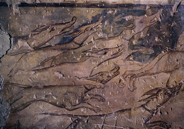 DETALLE DE LOS LEBRELES - LADO ORIENTAL DEL GRAN SALON - FRESCOS OMEYAS S VIII
QUSEIR AMRA,