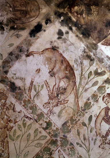 INTERIOR - PINTURA MURAL EN LA SALA DE BAÑOS - GACELA OLISQUEANDO - S VIII
QUSEIR AMRA,