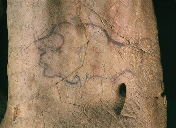 PINTURA RUPESTRE - BISONTE PINTADO ENTRE 13000 Y 10000 AC - MAGDALENIENSE
PUENTE VIESGO, CUEVA DEL