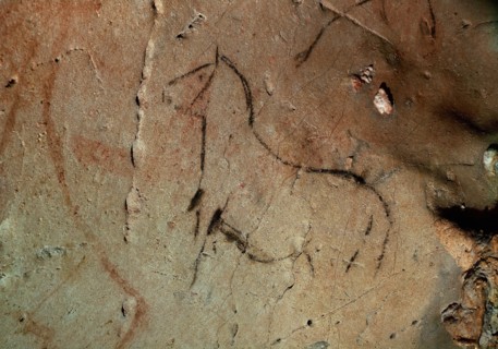 PINTURA RUPESTRE DE UN CABALLO EN LA CUEVA DE LA PASIEGA - PALEOLITICO SUPERIOR
PUENTE VIESGO,