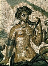 MOSAICO ROMANO - DET DE GALATEA
CORDOBA, ALCAZAR
CORDOBA

This image is not downloadable.