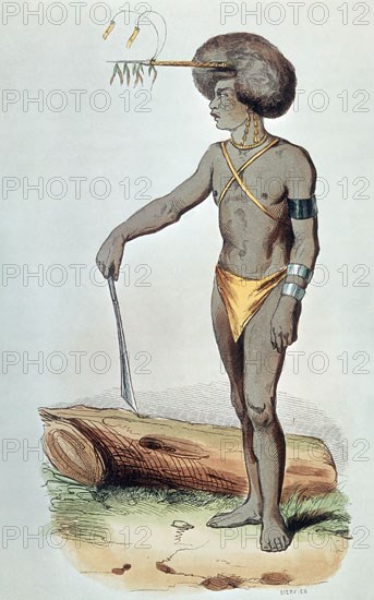 GRABADO-PAPU DE HAVRE DOREY- NATURAL DE NUEVA GUINEA
PARIS, COLECCION PARTICULAR
FRANCIA

This