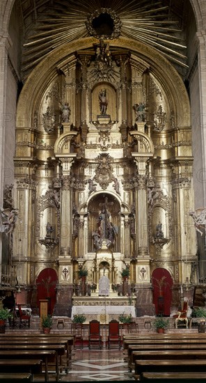 INTERIOR HACIA LA CABECERA
LORCA, IGLESIA DEL SALVADOR
MURCIA

This image is not downloadable.