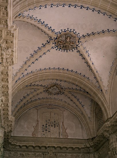 BOVEDA DE LA SACRISTIA
JUMILLA, IGLESIA DE SANTIAGO
MURCIA

This image is not downloadable.