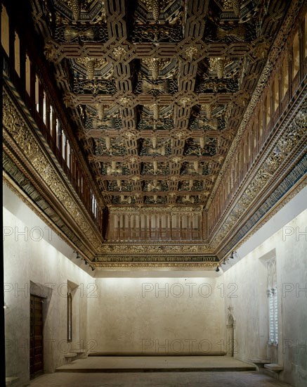 GALI FARAIG DE
PALACIO REYES CATOLICOS-1488/92-SALON DEL TRONO-ARTESONADO MUDEJAR-ESTILO RRCC-S
