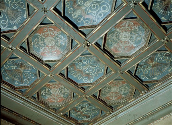 ARTESONADO CON YUGO,FLECHAS Y EL LEMA DE LOS REYES CATOLICOS
ZARAGOZA, ALJAFERIA-CORTES