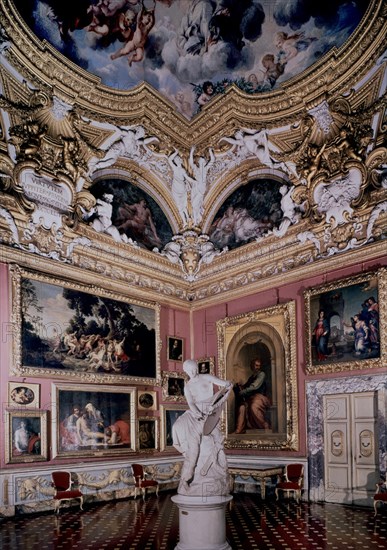 *SALA DE JUPITER
FLORENCIA, PALACIO PITTI/GALERIA PALATINA
ITALIA

This image is not